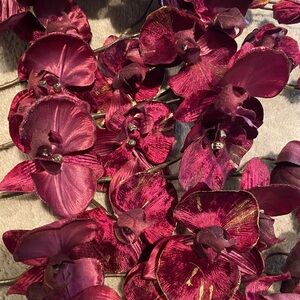 Six branches of velvet orchids with silver touch